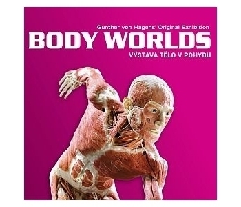 BODY WORLDS, Divadlo na Vinohradech